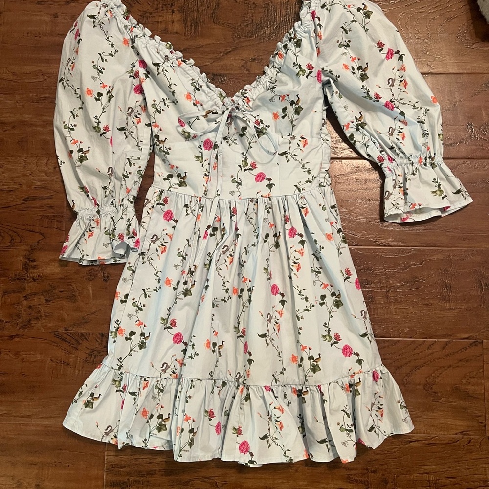The Ophelia Mini Dress